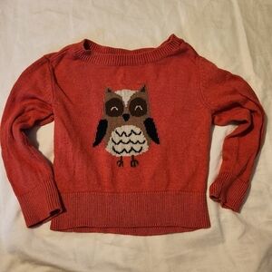 Owl Design Red Sweater